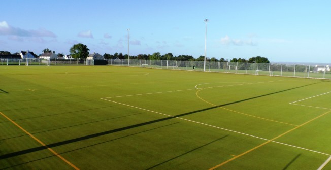 Synthetic Pitch Maintenance